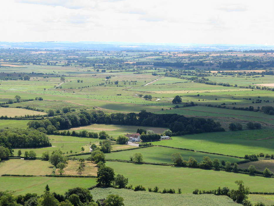 Somerset Levels 'super nature reserve' to be created