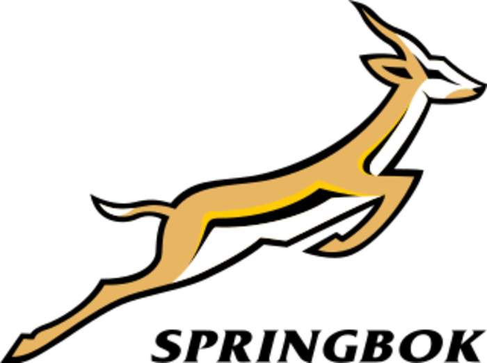 Springboks return will not be perfect - Pollard