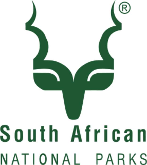 News24 | WATCH | New rangers, helicopter patrols and drones in SANParks' Table Mountain safety plan
