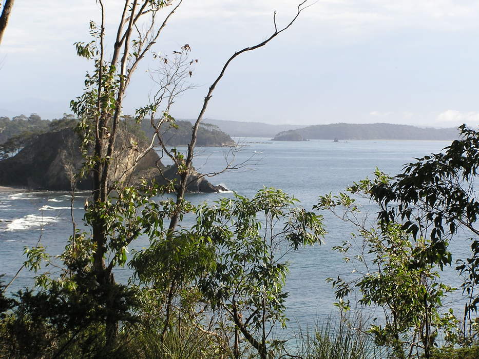 Desperate search for man missing on NSW South Coast