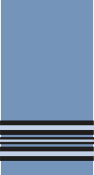 Squadron leader