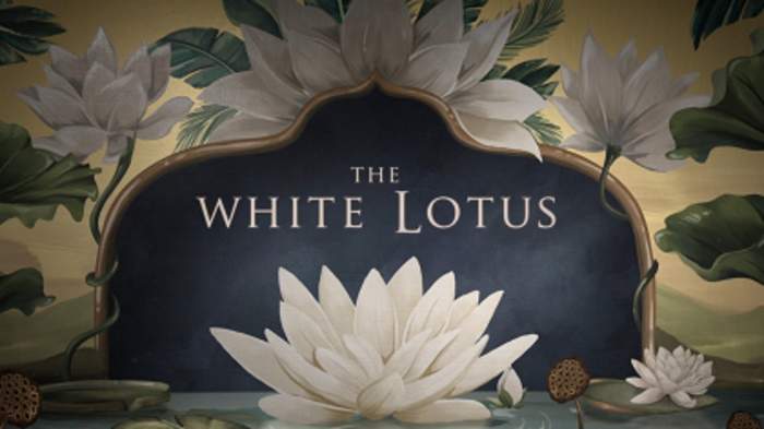 White Lotus star apologises following reports of sexual misconduct