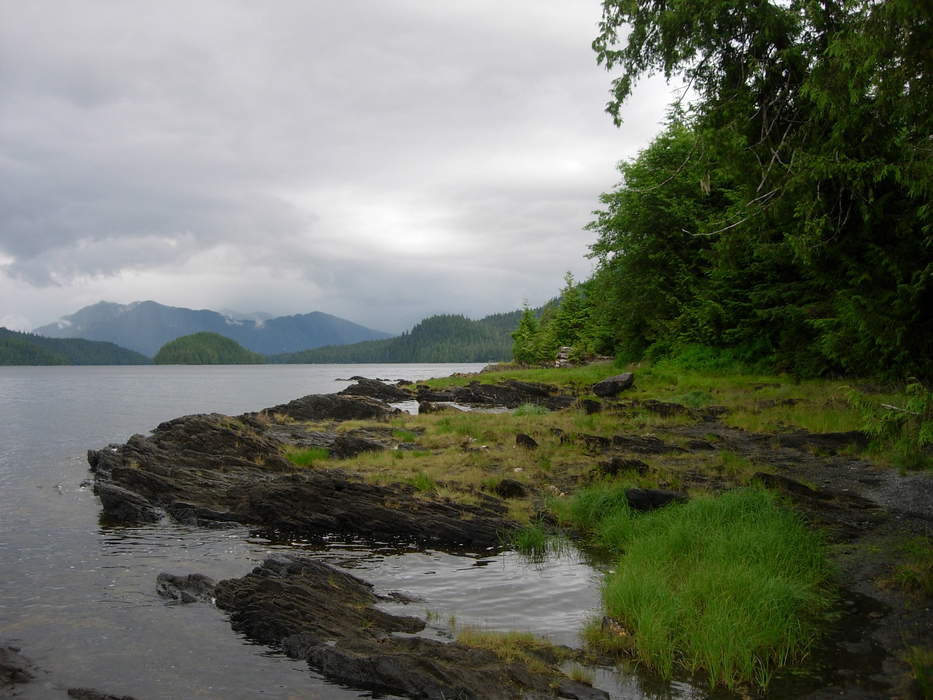 Southern Alaska’s National Forests Key To Meeting Climate, Conservation Goals