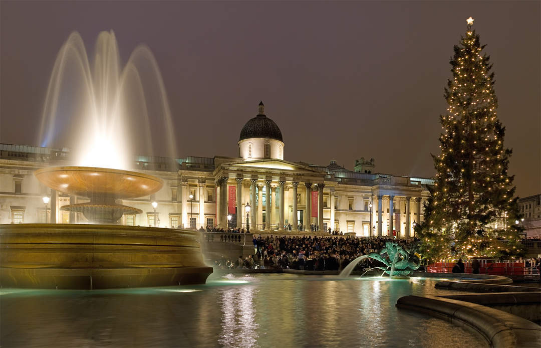 'Where's the other half?': Trafalgar Square Christmas tree mocked by onlookers as 'half dead'