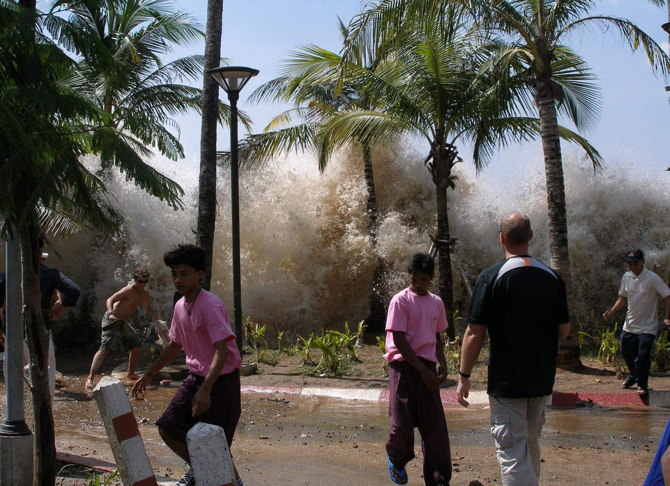 News24.com | Large earthquakes spark Pacific-wide tsunami alerts