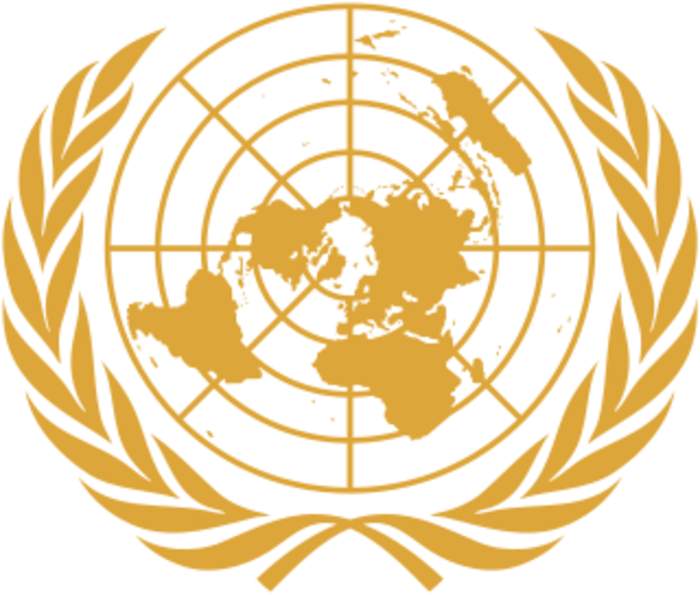 United Nations Economic and Social Council