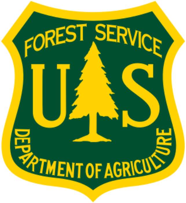 U.S. Forest Service Can't Say If New Bigfoot Video in Colorado is Real