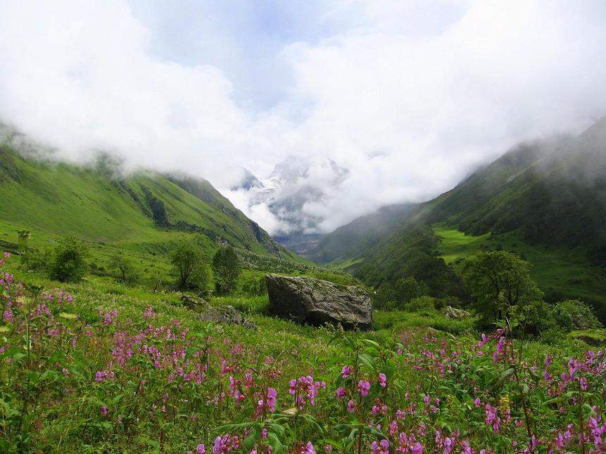 New 7km road to bring UNESCO Heritage site, Valley of Flowers closer