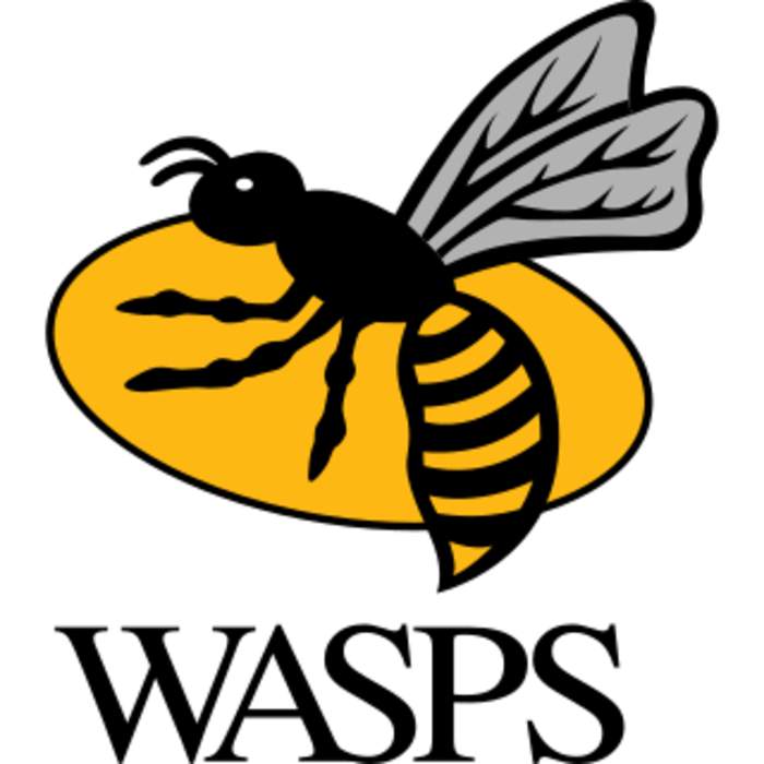 Wasps hooker Barbeary called up to England squad