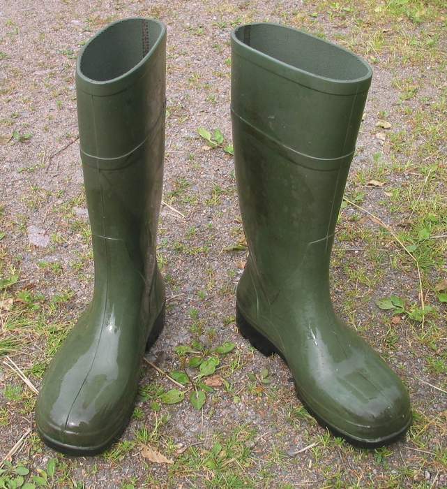 Wellington boot