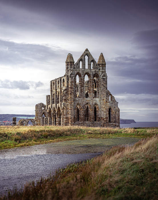 Whitby Abbey marks Dracula anniversary with bat projection