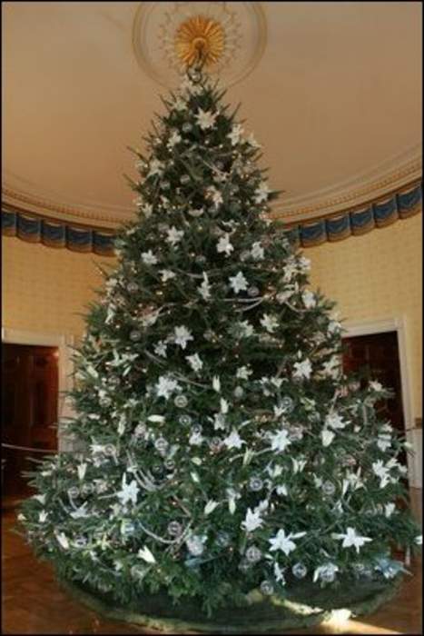 Tis the season: White House Christmas Tree arrives