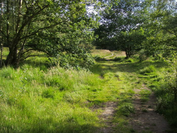 Wimbledon Common