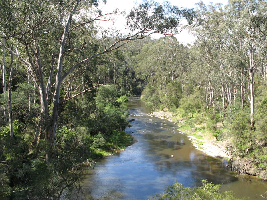 Why is the Yarra River brown? Take The Age quiz