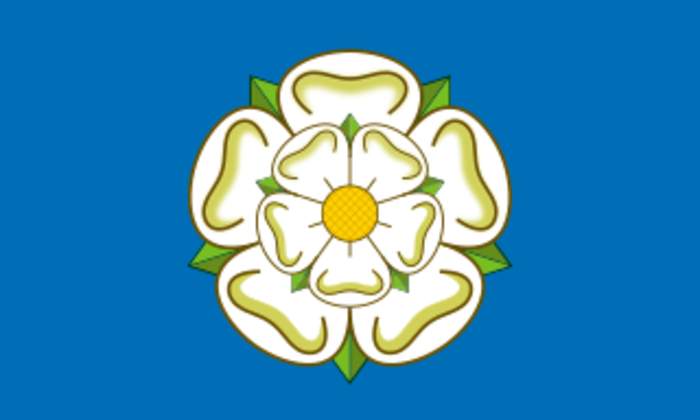 News24.com | Yorkshire chief resigns after cricket racism scandal