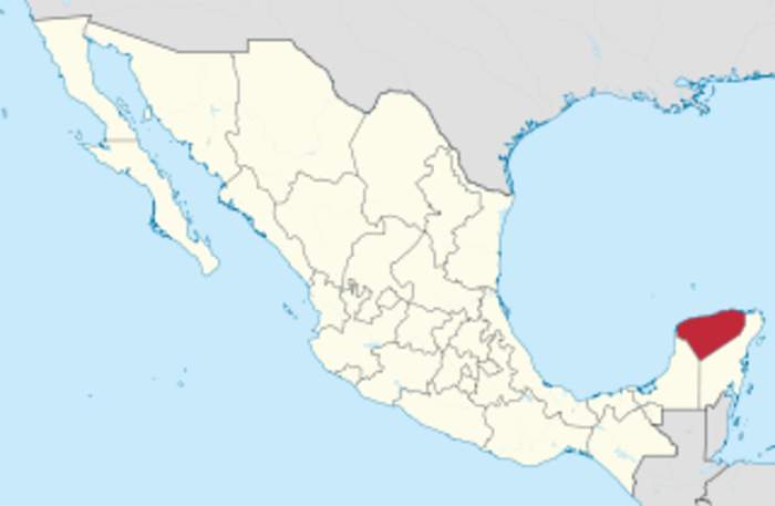 Tren Maya: Mexico's Yucatán railway project horrifies environmentalists