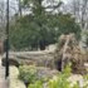 nearly 2,000 homes still without power as storm otto leaves uk and moves on to scandinavia