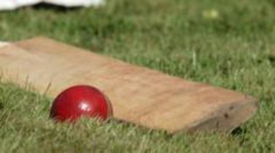 Samoa's Visser hits record 39 runs in single over