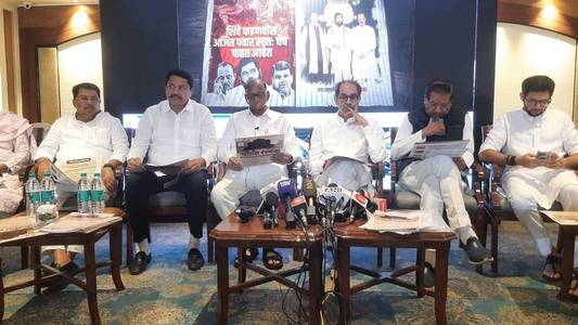 Mahayuti, MVA rush to finalise seat-sharing as Maharashtra Elections approach