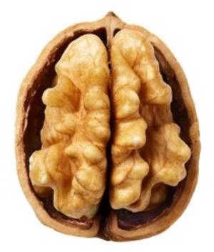 Study Shows Walnut-Rich Breakfast May Help to Boost Your Brain Power