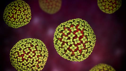 What is the rare virus that Gene Hackman's wife died from?