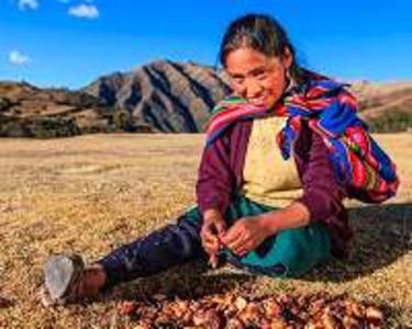 Peru farmer in German court battle with energy giant