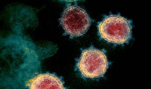 List of 'priority pathogens' that pose greatest risk to public health is published