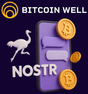 Bitcoin Well Integrates Nostr BTC Purchases via DMs