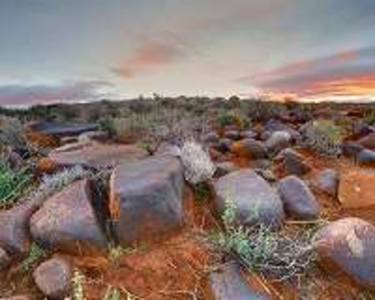 How does life rebound from mass extinctions