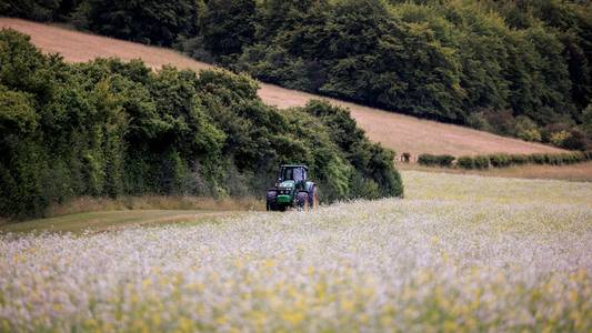 Cutting agricultural budget could be 'catastrophic' for nature, farmers and charities warn