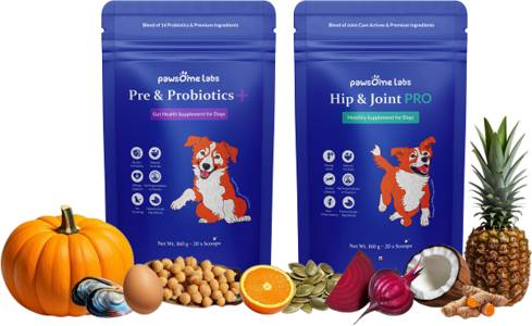 Pawsome Labs is Raising the Bar for Pet Wellness in India