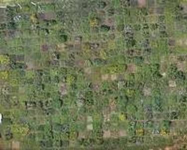 Space lasers, AI used by geospatial scientist to measure forest biomass