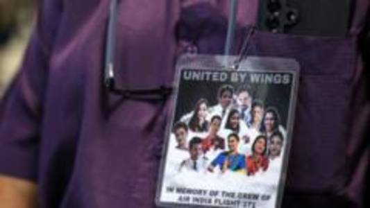 Don't vilify Air India crash crew: Indian pilots' association