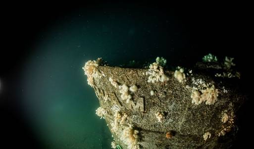 Divers discover Royal Navy warship HMS Nottingham 110 years after it was lost in action