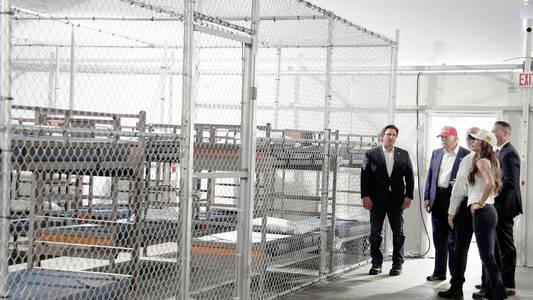 'Alligator Alcatraz' detention centre compared to 'dog cage' with no distinction between night and day