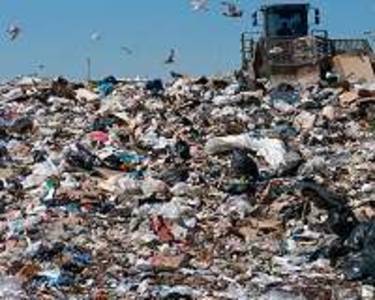 Abidjan landfill transformed into city parkland