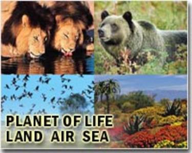 Lioness present in northeast C.Africa for first time in years; New species teem in Cambodia's threatened karst