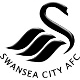 Championship: Live Swansea City News and Videos