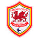 Premier League: Live Cardiff City News and Videos